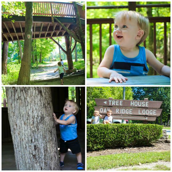 Mt. Airy treehouse collage