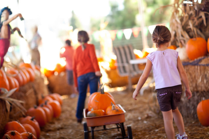 Cincinnati Pumpkin Patch Guide