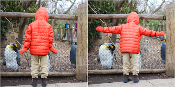 the penguin dance