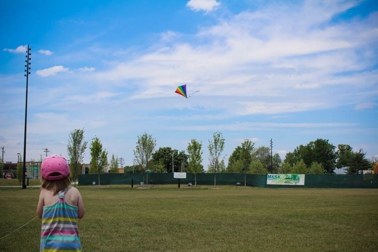 Kite Flying Roundup Main
