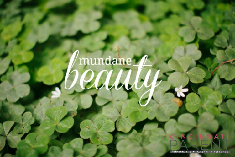 Mundane Beauty _ Cincinnati Parent Magazine