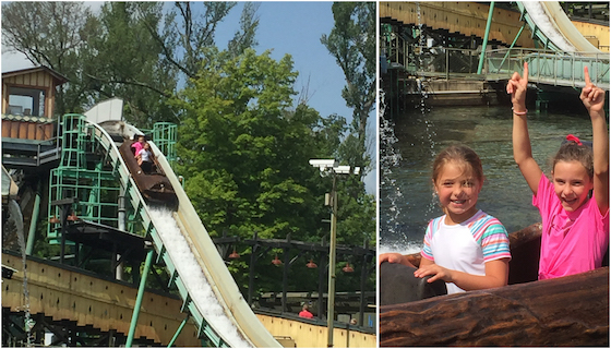 log flume