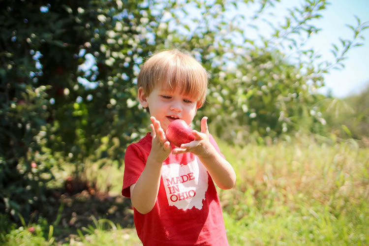 A&M Apple Orchard – MAIN copy