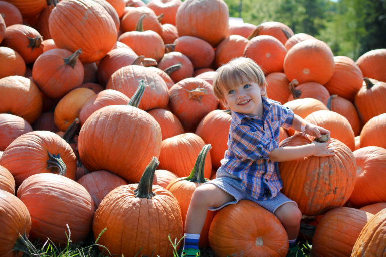 2017 Cincinnati Pumpkin Patch Guide Pick your picture perfect pumpkin at one of these Cincinnati patches!