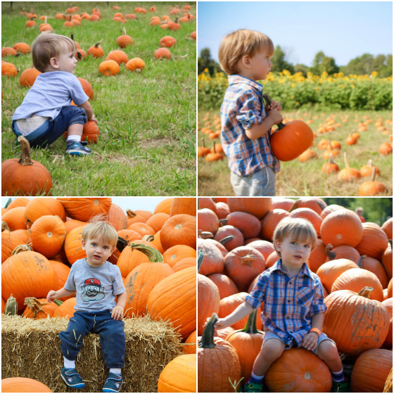 fall-on-the-farm-2015-and-2016-pumpkin-collage