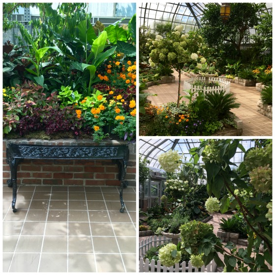 Krohn Fall Collage