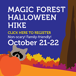 magicforest_2016halloweenhike_adhomepage