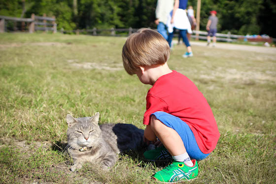 Visit Athens – walrus the cat