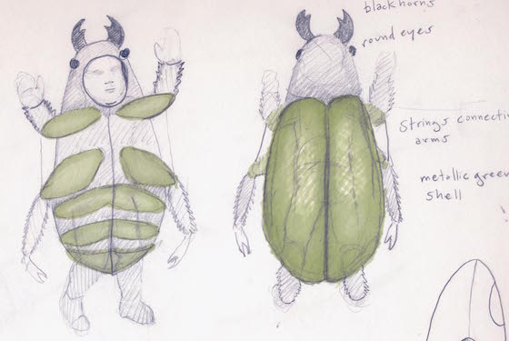 beetle-drawing