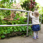 Krohn Conservatory 2019 1