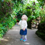 Krohn Conservatory 2019 2