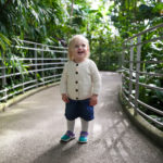 Escape winter at Krohn Conservatory