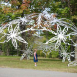 dragonfly-dome
