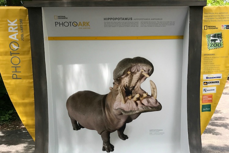 The National Geographic Photo Ark Just another reason to visit the Cincinnati Zoo this summer!