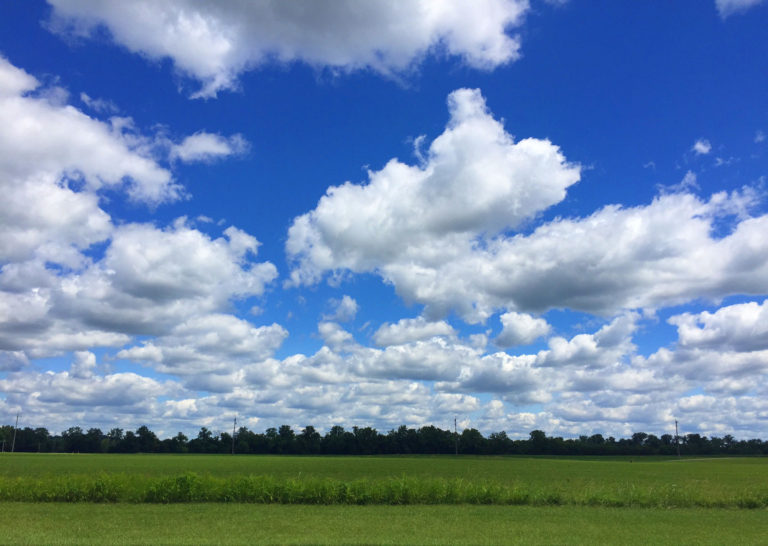 Free Summer Movies in Cincinnati