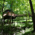 Mt. Airy Treehouse 9 small