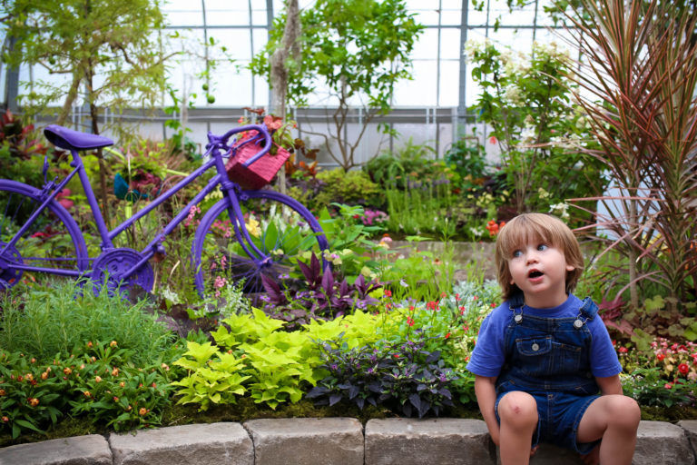 Petals & Pedals at Krohn Conservatory Ride your bike, save $1!