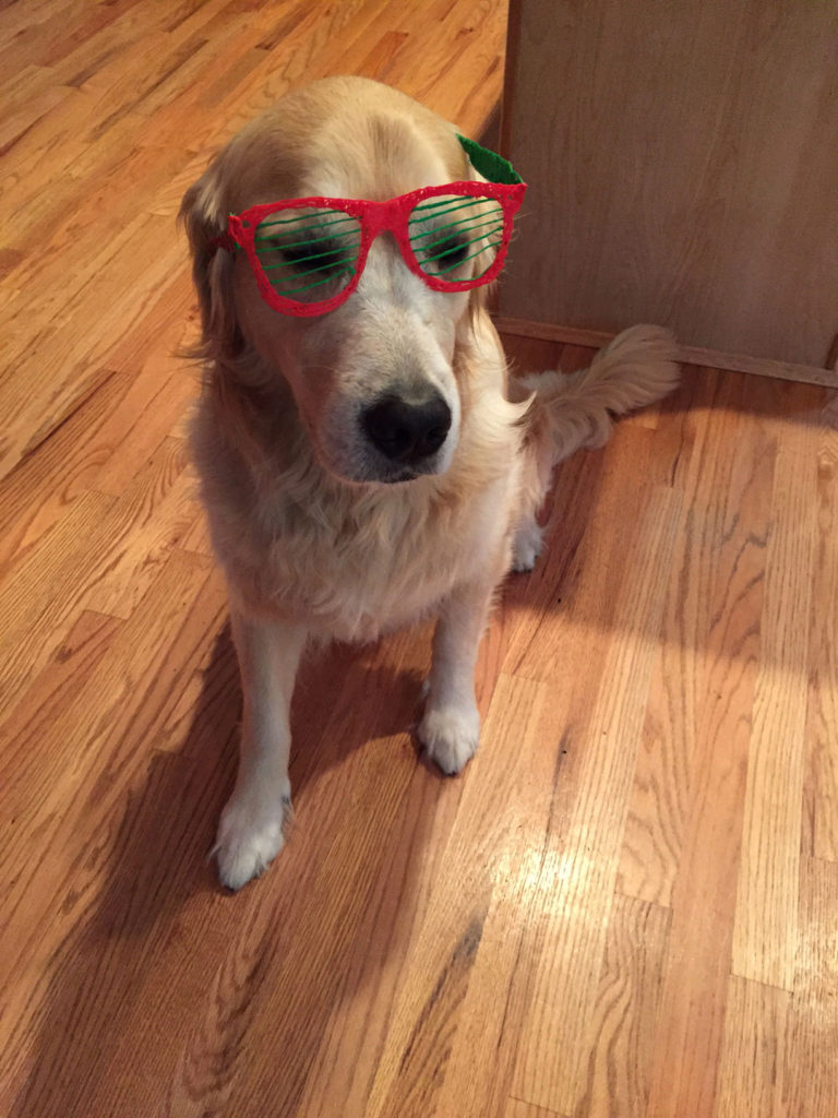 How to avoid buying ‘bogus’ solar eclipse glasses