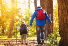 Best Places for a Fall Hike around Cincinnati