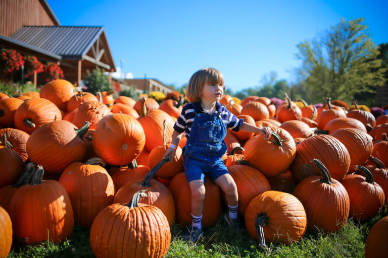 5 Reasons Your Family Will Love Fall on the Farm at Blooms & Berries