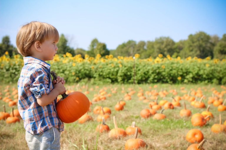 8 Great Fall Festivals this Weekend in Cincinnati