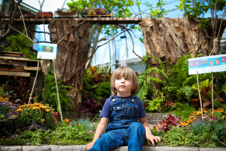 The Trains are Back for Krohn Conservatory’s Fall Show! Grass Roots: The Art of Nature! is simply delightful