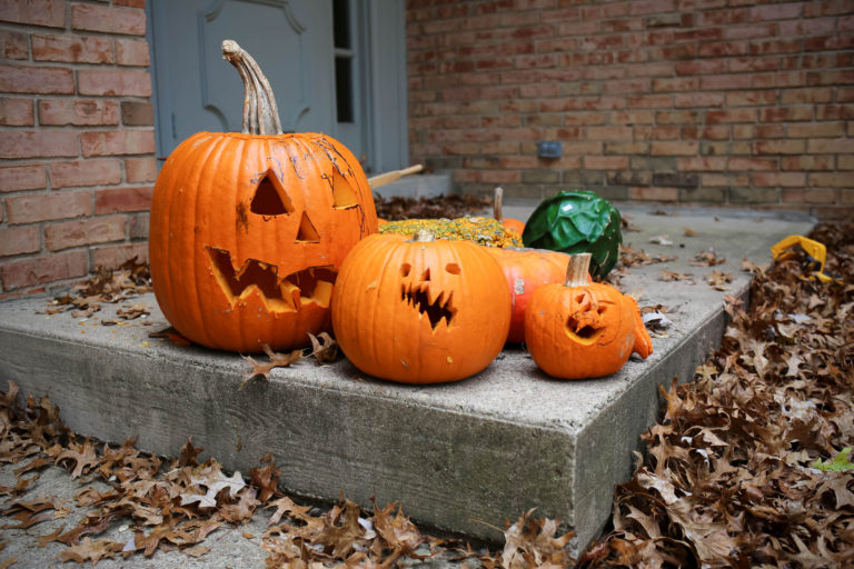 5 Things You Need to do Before November