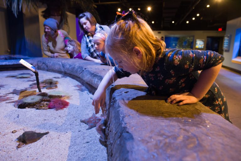 2020 Free Museum Days Around Cincinnati