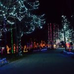 Holiday Lights that Dazzle