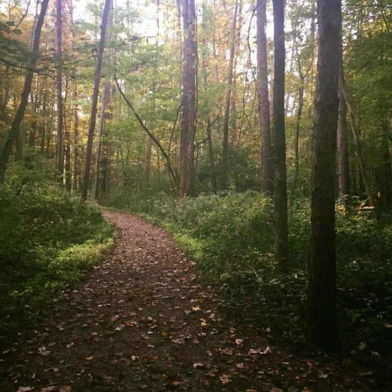 Get in Great Parks Free on #OptOutside Friday Get in free to all Great Parks on Nov. 24!