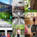 Free Cincinnati Collage