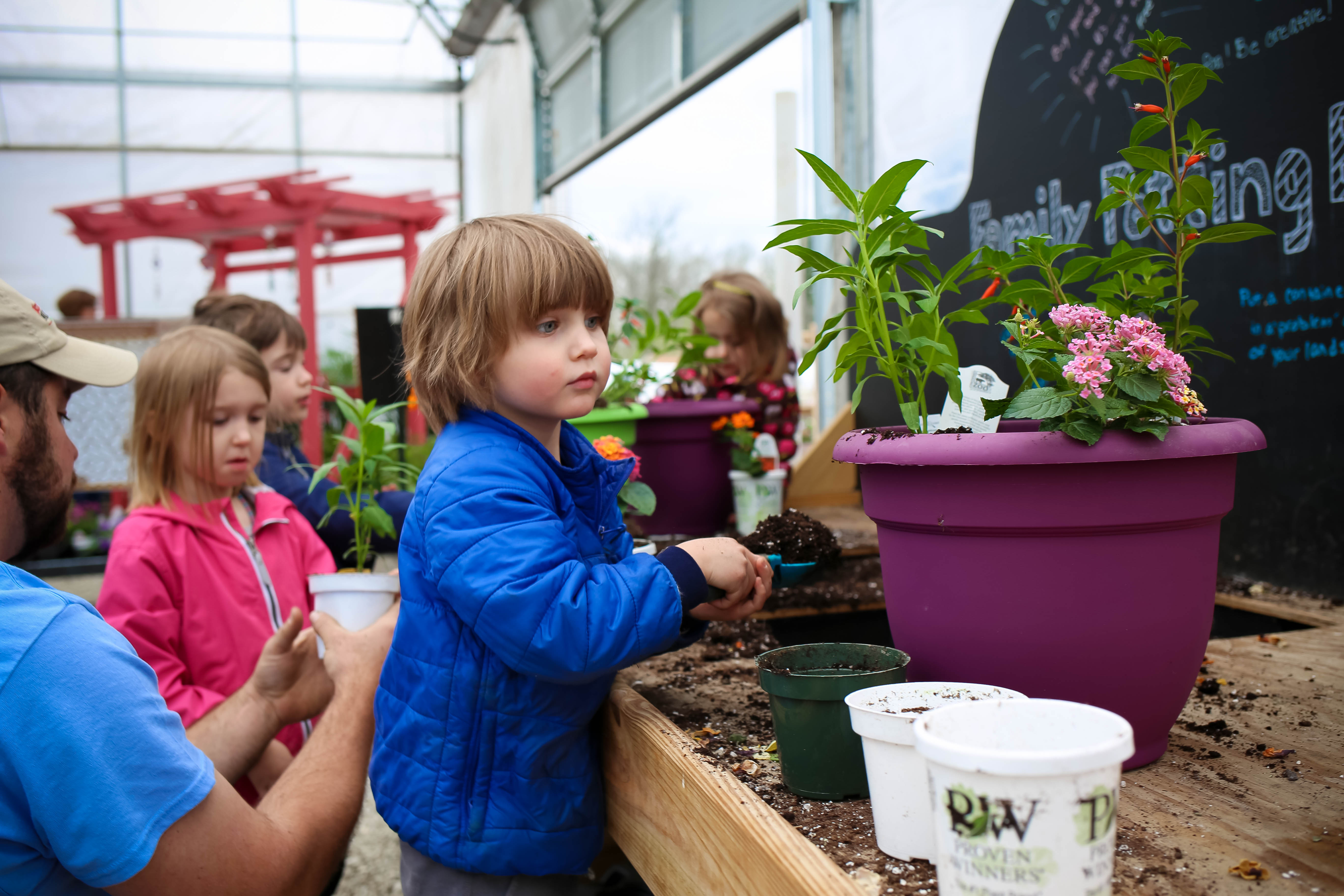 The Garden Center at Blooms & Berries - Southwest Ohio Parent Magazine