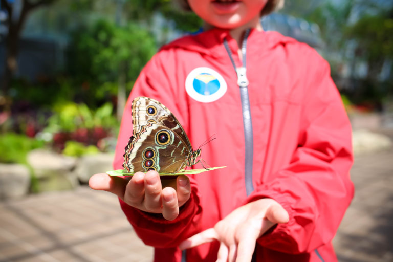 8 Great Spring Activities this Weekend in Cincinnati Put a little spring in your step this weekend!