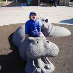 Cincinnati Zoo April 2018 2 small