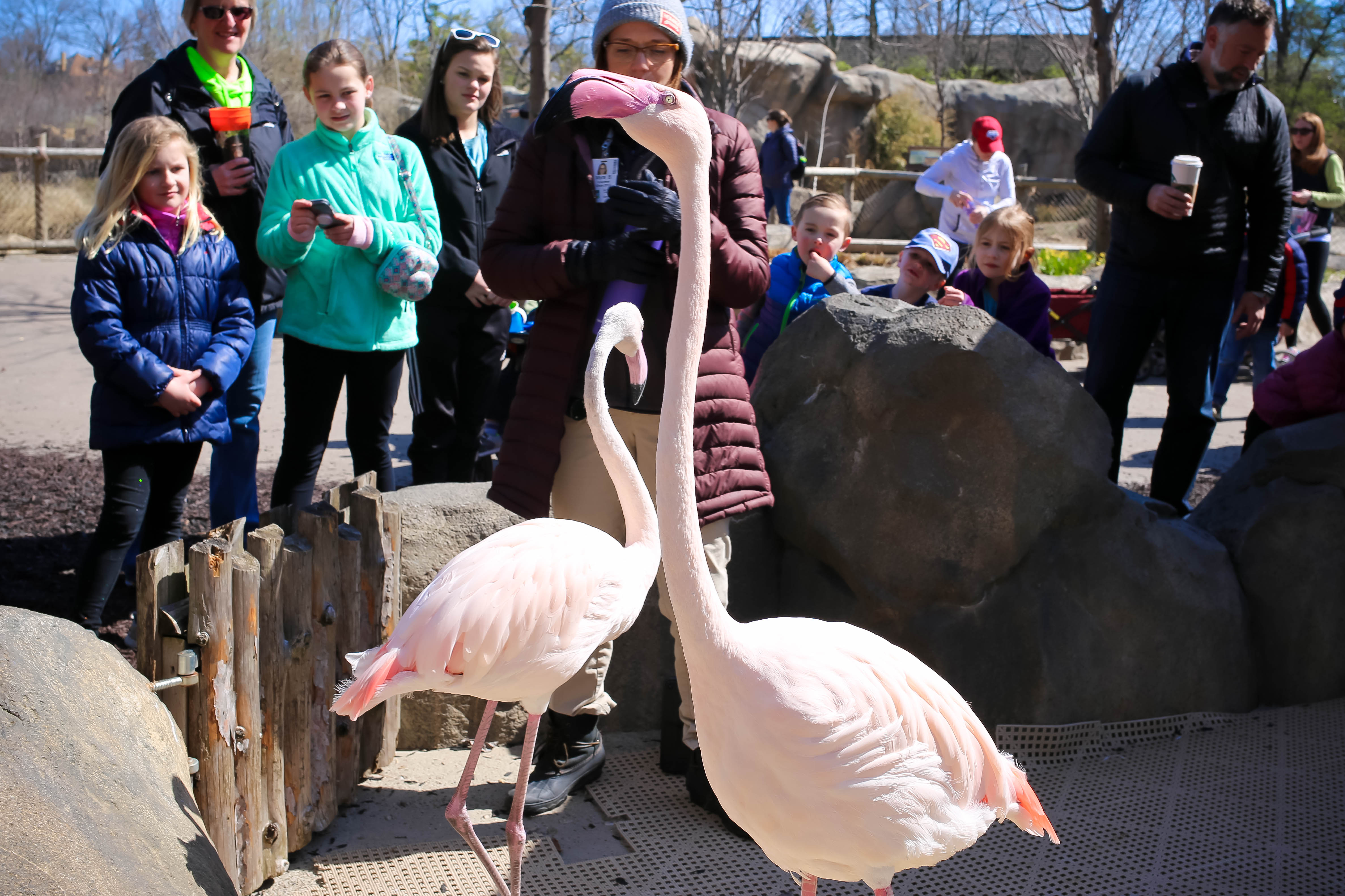 What's new at the Cincinnati Zoo Southwest Ohio Parent Magazine