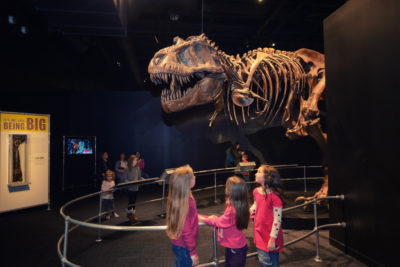 Get Ready to Roar & Explore in Columbus - Southwest Ohio Parent Magazine