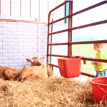 Snowville Open House
