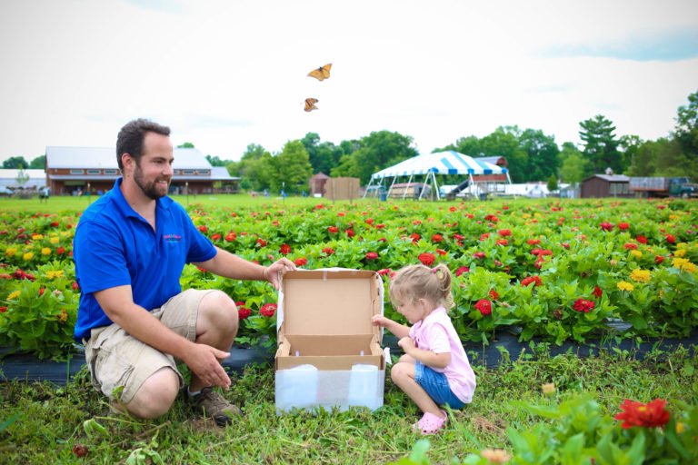 Everything you need to know about Butterfly Fest at Blooms and Berries Get your tickets today for this special festival!