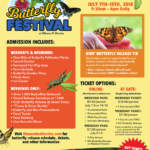 ButterflyFestival-Flyer-2018-FINAL-6