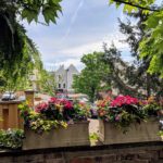 Family Friendly Outdoor Dining