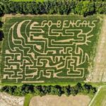 created by dji camera