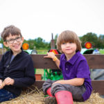 Fall on the Farm at Blooms and Berries 21