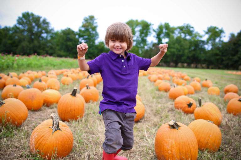 Fall Festivals