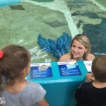 Mermaid with kids