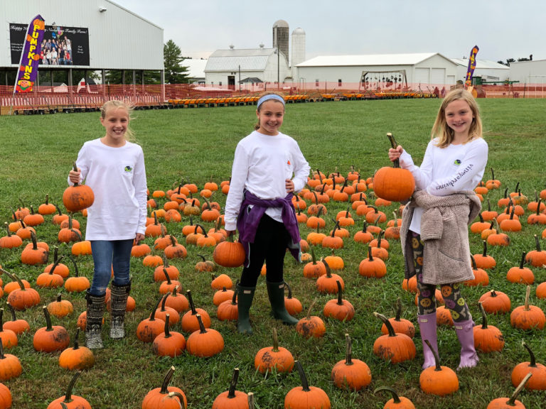 Niederman Family Farm’s Fall Festival