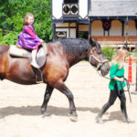 Ren Fest MAIN