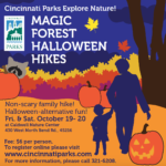 Screen Shot 2018-09-07 at 9.05.13 AM