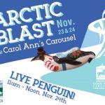 ArcticBlast_CincinnatiParent_DigitalAD_20181024-01 (1)