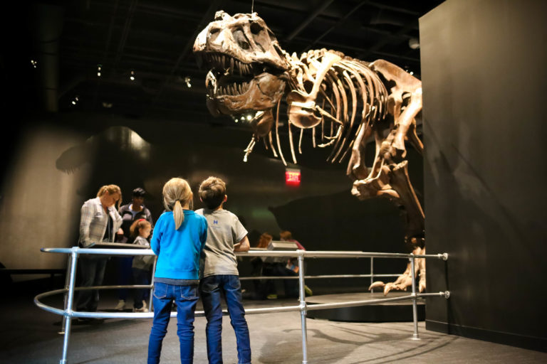 COSI Dinosaur Gallery