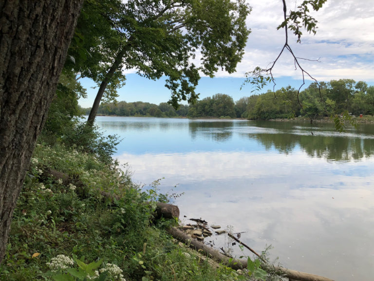 Fall is the perfect time to experience the MetroParks of Butler County Rentschler Forest is one of the prettiest places in Cincinnati